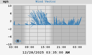 Wind Vector